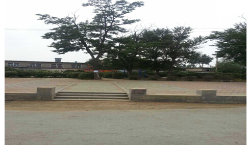 16̖ ɽЖ|ɽ悺ʹ弯wʹÙ