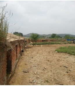 17-18̖ 悴XԭFFSwʹÙ༰S