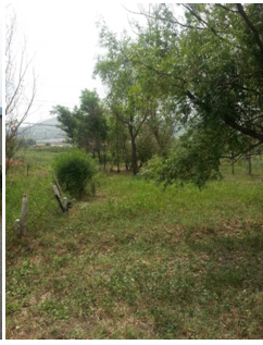 19̖ ɽǧɽ^|ɽ悖|Ӵ弯wʹÙ