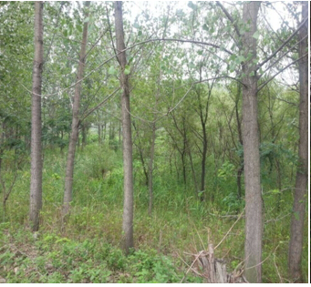 20̖ ɽǧɽ^|ɽԭ2̎ʹÙ