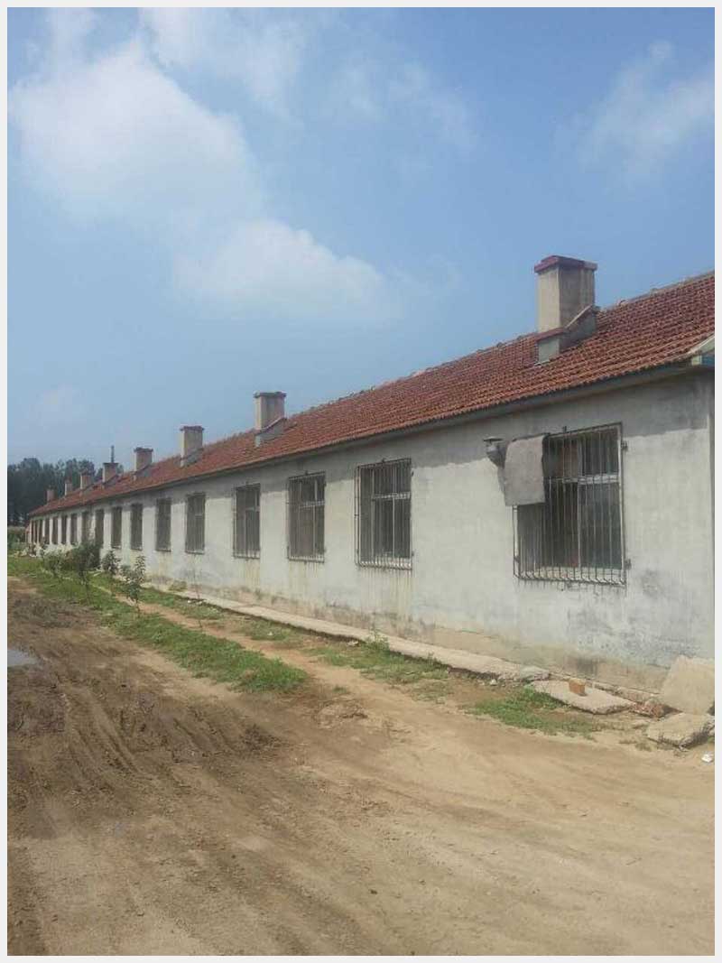 86̖ Ж|悖|Ĵ巿aʹÙ